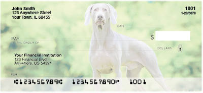 Weimaraner Dogs Personal Checks