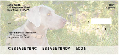 Weimaraner Photo Checks