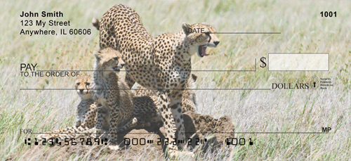 Cheetah Cubs Checks