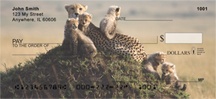 Cheetah Cubs Personal Checks