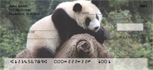 Panda Bear Personal Checks