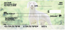 Weimariner Dog Personal Checks