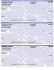 Blue Marble 3 Per Page Laser Checks Product Image