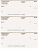 Tan Safety High Security 3 Per Page Laser Checks Product Image
