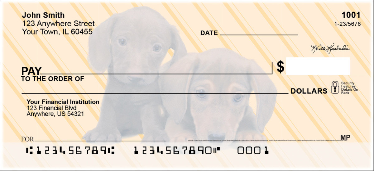 Dachshunds Pups Checks