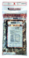 Clear CoinLok Deposit Bag, 12