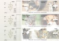 Veterinarian Itemized Payment Business Checks | BU3-CDS14-IPR