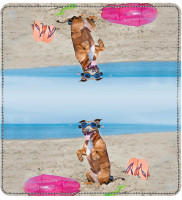 Beach Bullies Leather Cover | CDP-DOG115