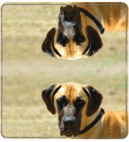Great Danes Leather Cover | CDP-DOG17