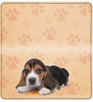 Beagle Pups Keith Kimberlin Leather Cover | CDP-KKM09