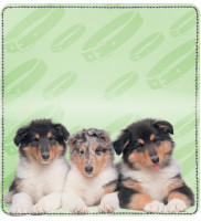 Collie Pups Keith Kimberlin Leather Cover | CDP-KKM33