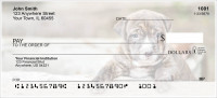 Pit Bull Pups Personal Checks | DOG-118