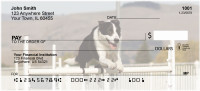 Agility Border Collies Personal Checks | DOG-45