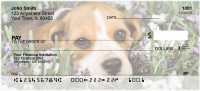Brilliant Beagles Personal Checks | DOG-73