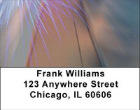 Electric Blue Address Labels | LBABS-01