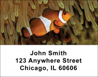 Tropical Fish Address Labels | LBANI-01