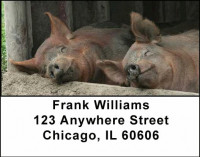 Farm Address Labels | LBANI-05