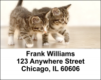 Cute Kittens Address Labels | LBANI-06R