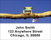 Frogs Address Labels | LBANI-09