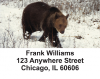 Bears in the Wild Address Labels | LBANI-10