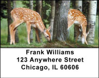 Baby Deer Address Labels | LBANI-18