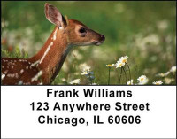 Baby Deer Address Labels | LBANI-18