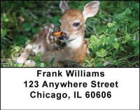 Baby Deer Address Labels | LBANI-18