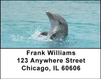 Dolphins Address Labels | LBANI-19