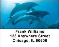 Dolphins Address Labels | LBANI-19