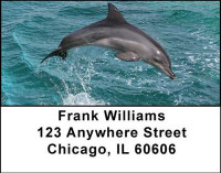 Dolphins Address Labels | LBANI-19