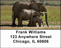 Elephants Address Labels | LBANI-22