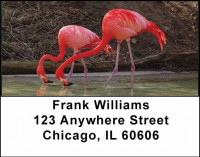 Flamingos Address Labels | LBANI-24