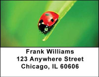 Ladybugs Address Labels | LBANI-32