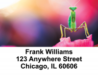 Praying Mantises Address Labels | LBANI-34