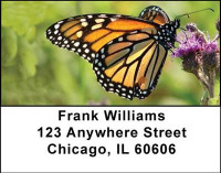 Monarch Butterflies Address Labels | LBANI-38
