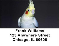 Cockatiels Address Labels | LBANI-39