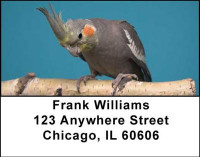 Cockatiels Address Labels | LBANI-39