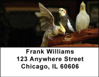 Cockatiels Address Labels | LBANI-39