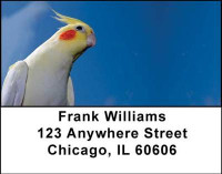 Cockatiels Address Labels | LBANI-39