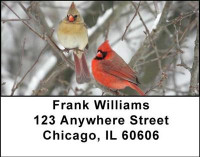 Cardinals Address Labels | LBANI-40