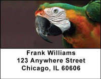 Parrots Address Labels | LBANI-41
