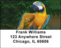 Parrots Address Labels | LBANI-41