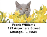 Flowers & Felines Address Labels | LBANJ-12
