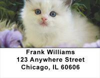 Flowers & Felines Address Labels | LBANJ-12