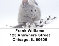 Flowers & Felines Address Labels | LBANJ-12