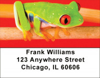 More Tree Frogs Address Labels | LBANJ-A9