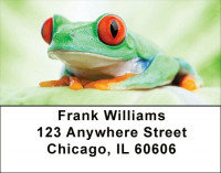 More Tree Frogs Address Labels | LBANJ-A9