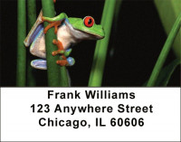 More Tree Frogs Address Labels | LBANJ-A9