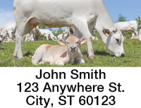 Adorable Calves Address Labels  | LBANJC-30