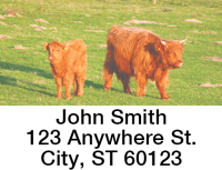 Adorable Calves Address Labels  | LBANJC-30